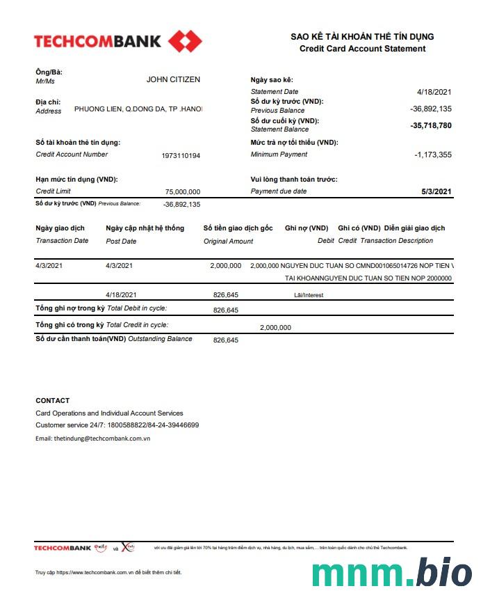 Vietnam MSB wyciąg z konta bankowego Word i szablon PDF